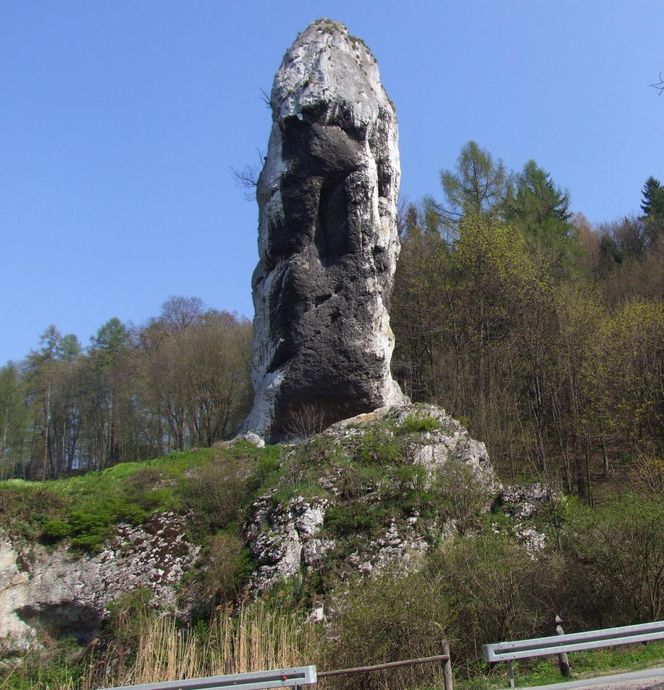 Maczuga Herkulesa w Ojcowskim Parku Narodowym