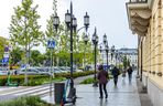 Sadzenie zieleni na placu Bankowym w maju 2025 r.