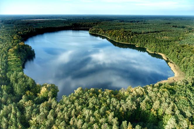 Jezioro Grabino niedaleko Gorzowa. Jak tam dojechać?