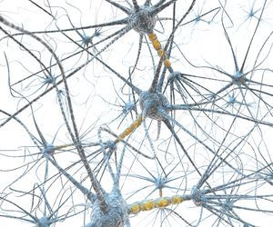 Choroba Hallervordena-Spatza to zwyrodnienie układu nerwowego