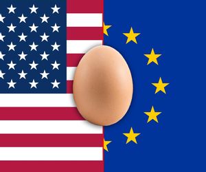  USA wyciągną rękę do Europy. Po … jajka