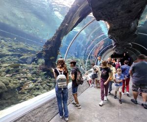 Orientarium w Łodzi