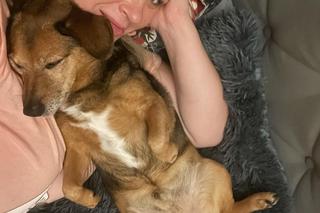 Ela Romanowska przeżyła wstrząs! Wyrzucili go z pędzącego auta i ostrzelali. Dramatyczne sceny