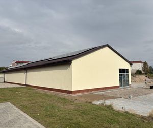 Dino w Sejnach