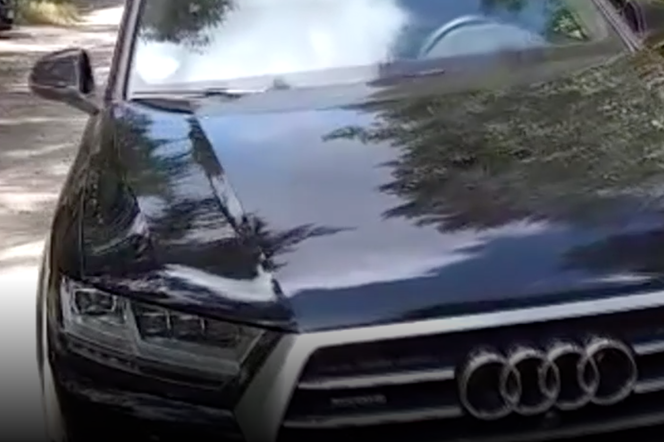 Znaleźli w lesie skradzione Audi warte 360 tys. zł.