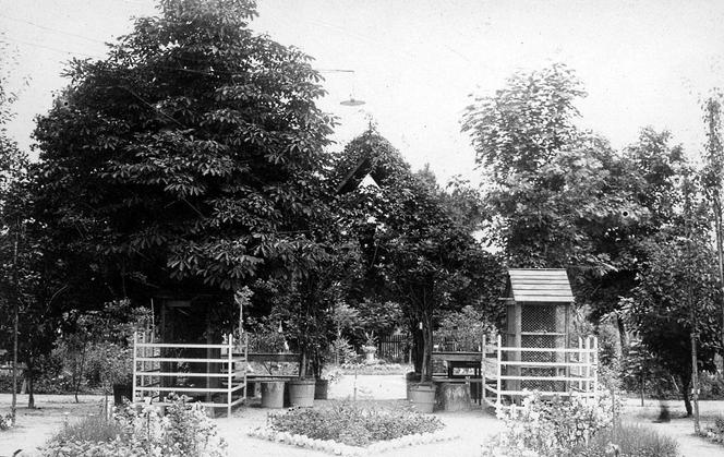 Pierwszy szkolny ogród zoologiczny w kraju powstał w Zamościu! Tak wyglądał 100 lat temu!