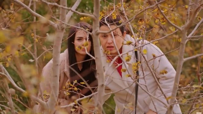 Miłość i nadzieja odc. 330. Bahar, Cavidan