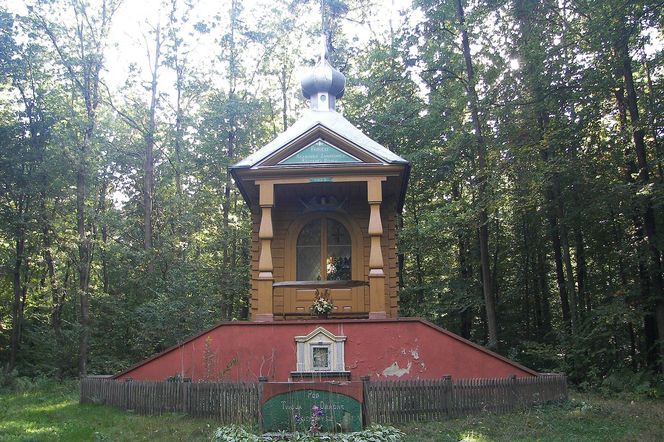 Brzóza Królewska - wieś na Podkarpaciu, która początkowo była łowiskiem leśnym. Jej tereny były areną walk między dwoma magnatami