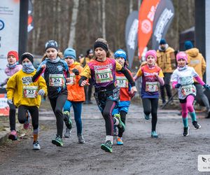 Biegacze City Trail Katowice dobiegli do mety sezonu