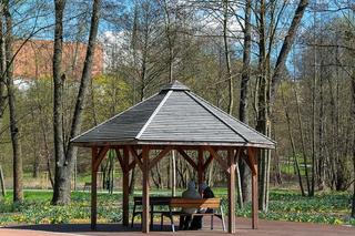 Zmiany w Parku Centralnym w Olsztynie
