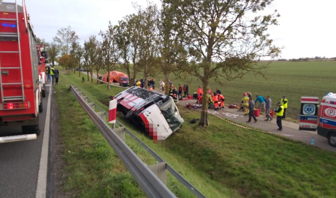 Wypadek autobusu z dziećmi! Są ranni [ZDJĘCIA]