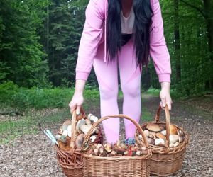 Taaaakie grzybobranie w Świetokrzyskiem. Królują borowiki szlachetne i ceglastopore