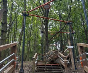 Park Leśny na Oksywiu, Gdynia