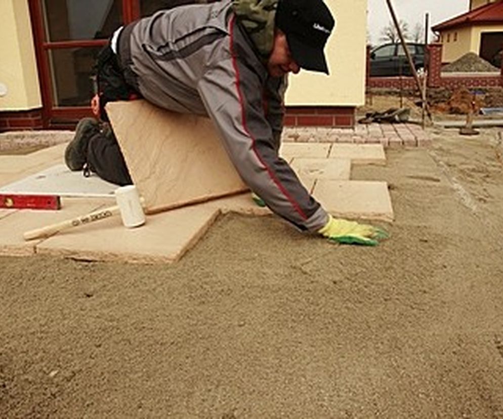 Taras w jeden dzień