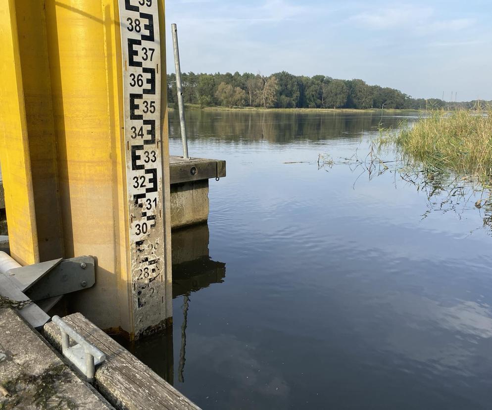 Rzeka Odra w okolicy Lasu Odrzańskiego