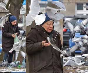 Tak dziś wygląda Anna Chodakowska z W labiryncie! Zdjęcia jak z horroru Alfreda Hitchcocka