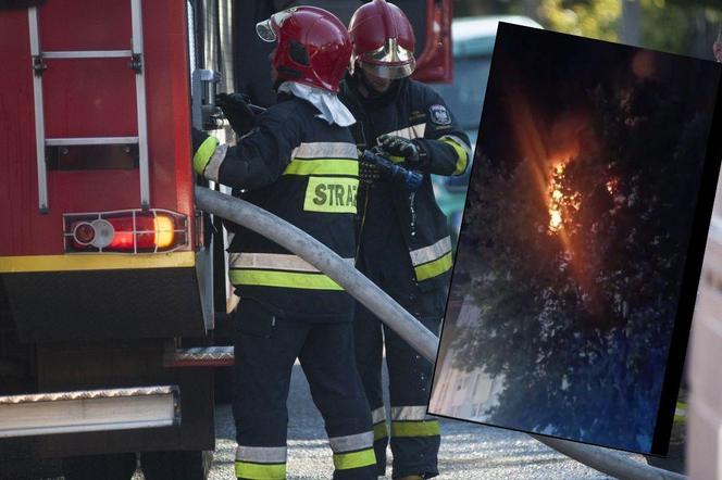 Tragiczny pożar w budynku mieszkalnego. Nie żyje siedem osób