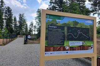 Ścieżka w koronach drzew - Ciężkowice