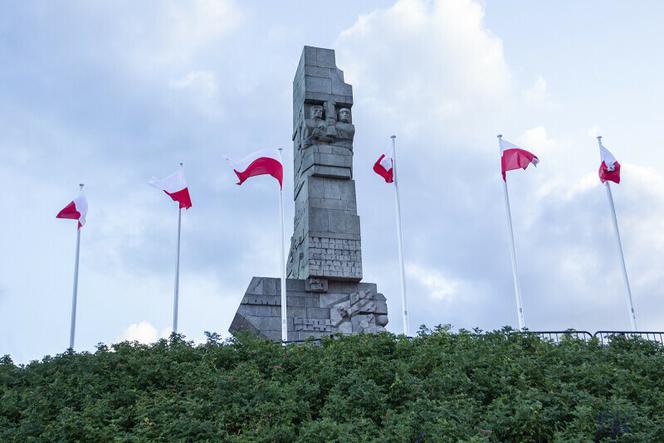 Niesamowite znaleziska na Westerplatte. To efekt kolejnych prac archeologicznych