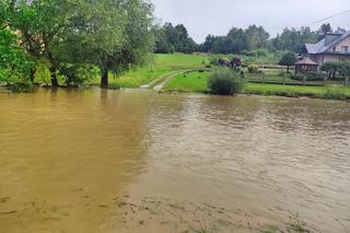 Zalane drogi, powalone drzewa, woda w piwnicach. To skutki czwartkowych nawałnic, które przeszły przez region tarnowski [GALERIA]