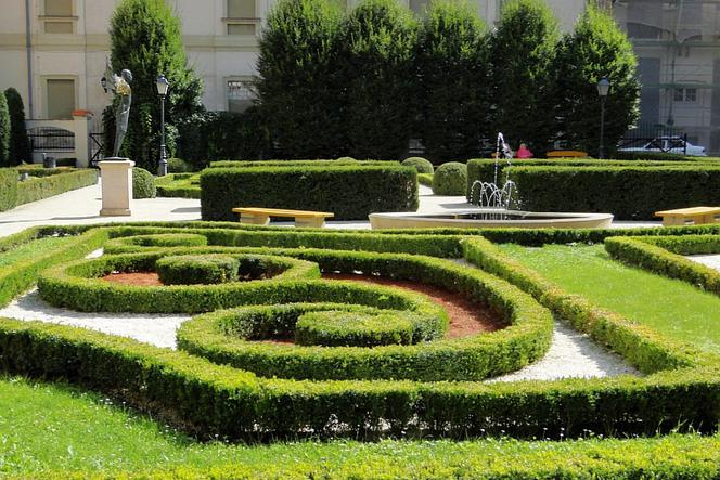 Ogród Barokowy przy Ossolineum już ósmy rok zaskakuje urodą