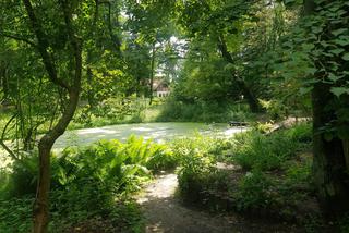 Leśne Arboretum Warmii i Mazur w Kudypach