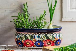 Doniczka na zioła do kuchni