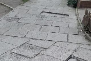 Wrocław. Chodniki rozwalone, że można połamać nogi. „Dziury na drogach lepią mieszkańcy”