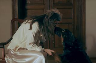 Ślub cywilny...z psem. Fundacja z Bierunia wypuściła klip promujący adopcję zwierząt