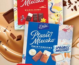 Nowe promocje w Dino