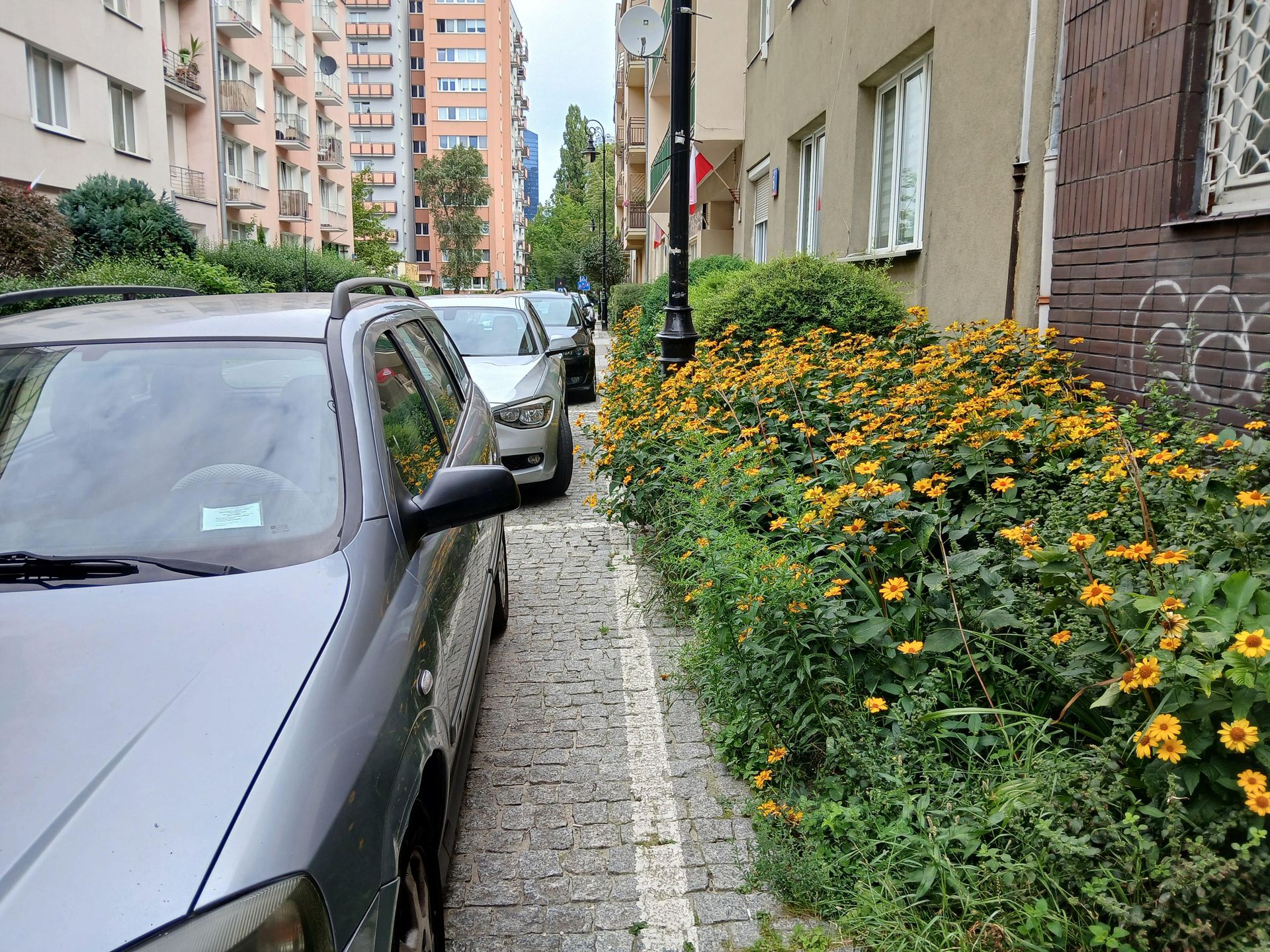 Ulica Andrzejowska w Warszawie