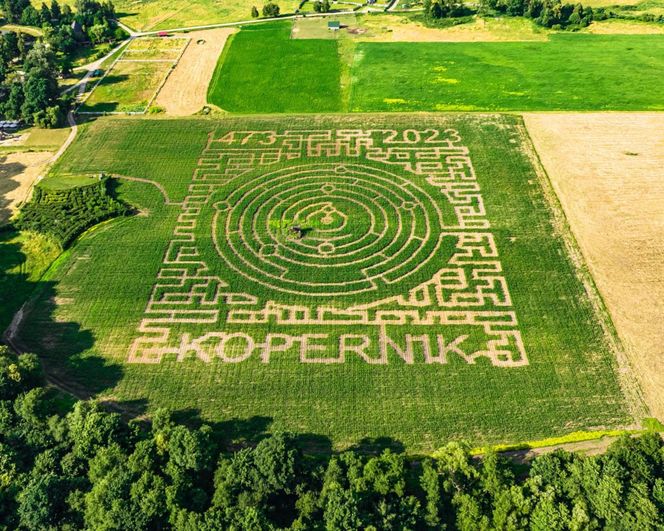 Labirynt w Kurozwękach