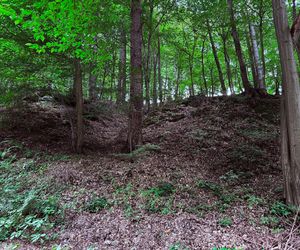 Ulica Tatrzańska w Brodach koło Starachowic