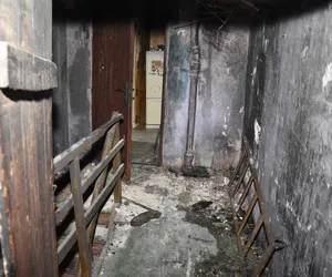Lublin. 12-letni bohater uratował babcię i swoje zwierzaki