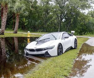 Huragan Debby wyrzucił na plaże kokainę wartą milion