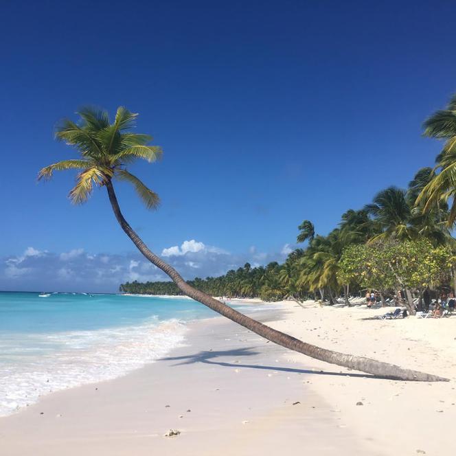 Na tej plaży będziemy odwoływać zimę na Dominikanie!