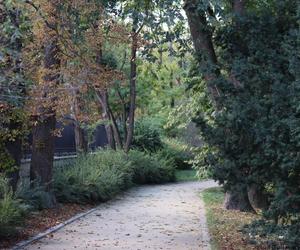 Nowa pora roku już jest w mieście. Lublin przybrał już jesienne barwy. Zobaczcie!