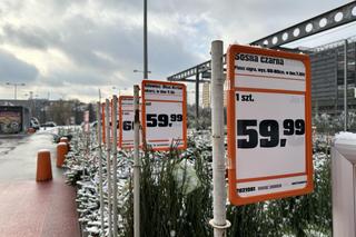 Ceny choinek w Krakowie szokują. Nawet 1299 zł za sztuczne drzewko! 