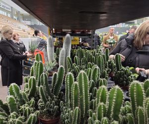 Festiwal Roślin znów zachwycił bydgoszczan! Setki gatunków i wyjątkowa atmosfera