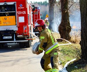 Pod Ostródą wydobywał się ogień z ziemi! Ewakuowano 30 psów [ZDJĘCIA]