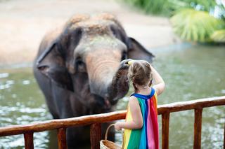 Warszawskie ZOO znów otwarte!