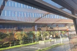 Manifesty wandala w Szczecinie