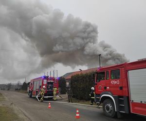 Kilkanaście wozów strażackich gasiło pożar miejscowości Kalinowy Dół 