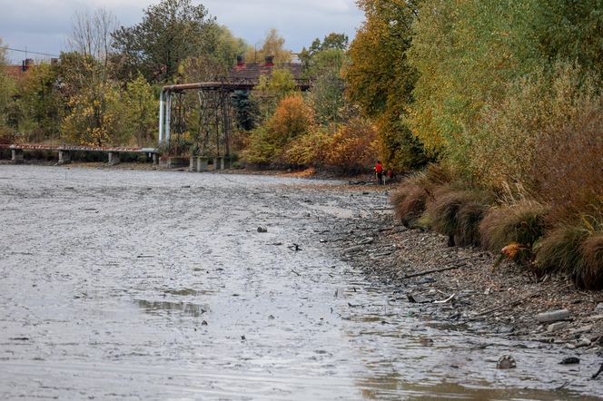 Policjanci kontynuują poszukiwania zaginionej Karoliny Wróbel