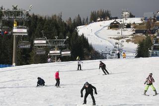 Aktywne święta w Tatrach. Narciarze opanowali Polanę Szymoszkową