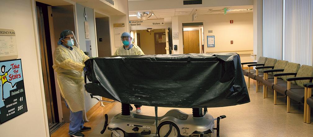 Wirus zabije całe misto