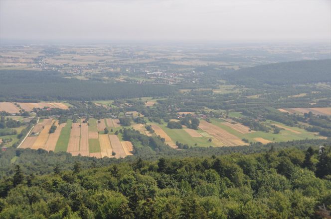 Puszcza Jodłowa i Góry Świętokrzyskie