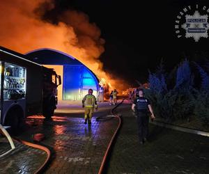 Pożar w Ośrodku Jeździeckim Lando w Ptakowicach