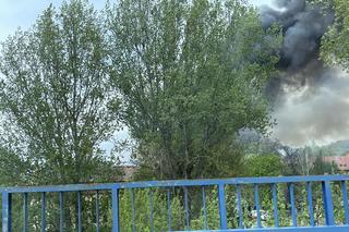 Pożar dachu budynku Akademii w Gorzowie