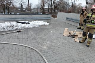 Zduńska Wola. Pożar w markecie RTV Euro AGD. Samozapłon hulajnogi elektrycznej [ZDJĘCIA].